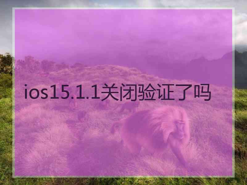 ios15.1.1关闭验证了吗