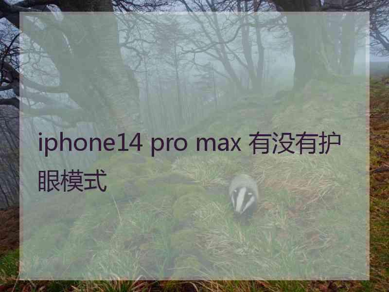 iphone14 pro max 有没有护眼模式