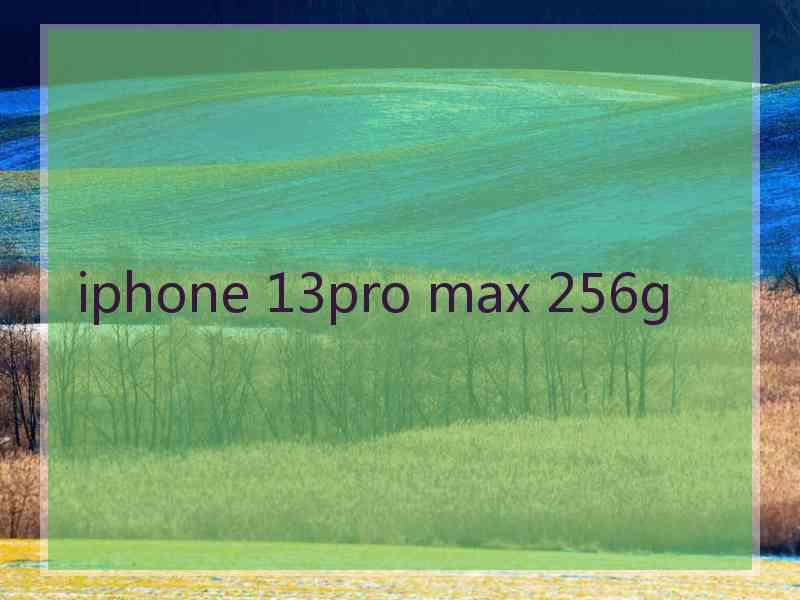 iphone 13pro max 256g