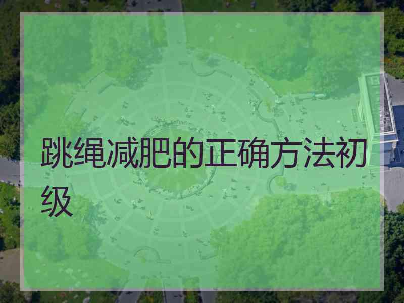 跳绳减肥的正确方法初级