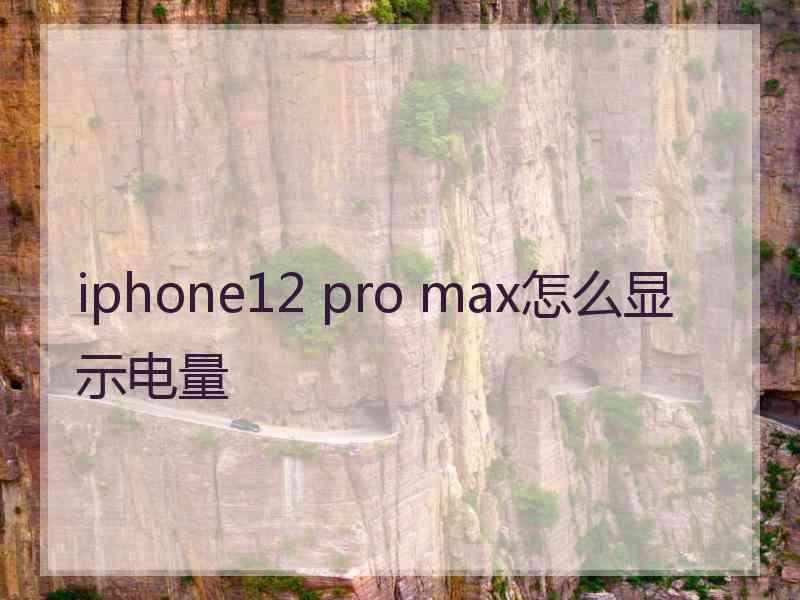 iphone12 pro max怎么显示电量