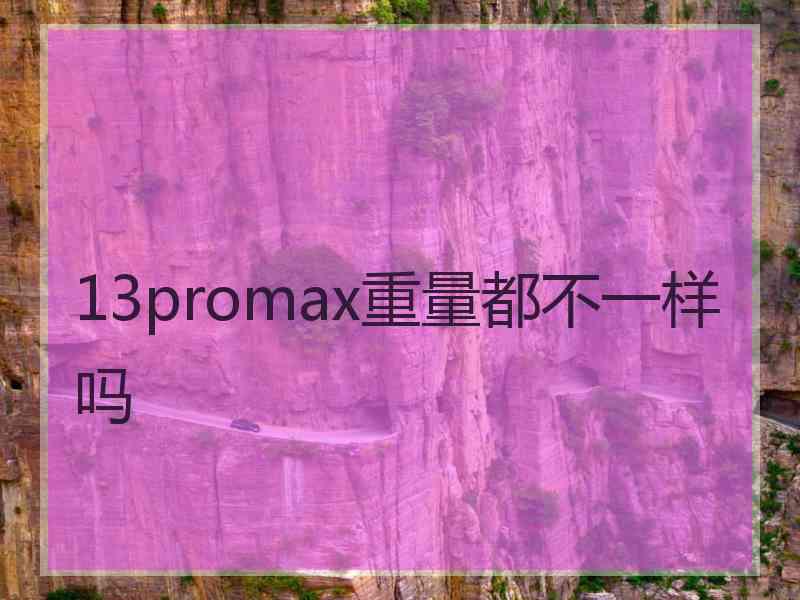 13promax重量都不一样吗