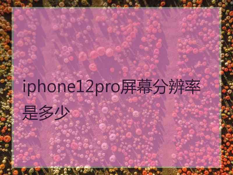 iphone12pro屏幕分辨率是多少