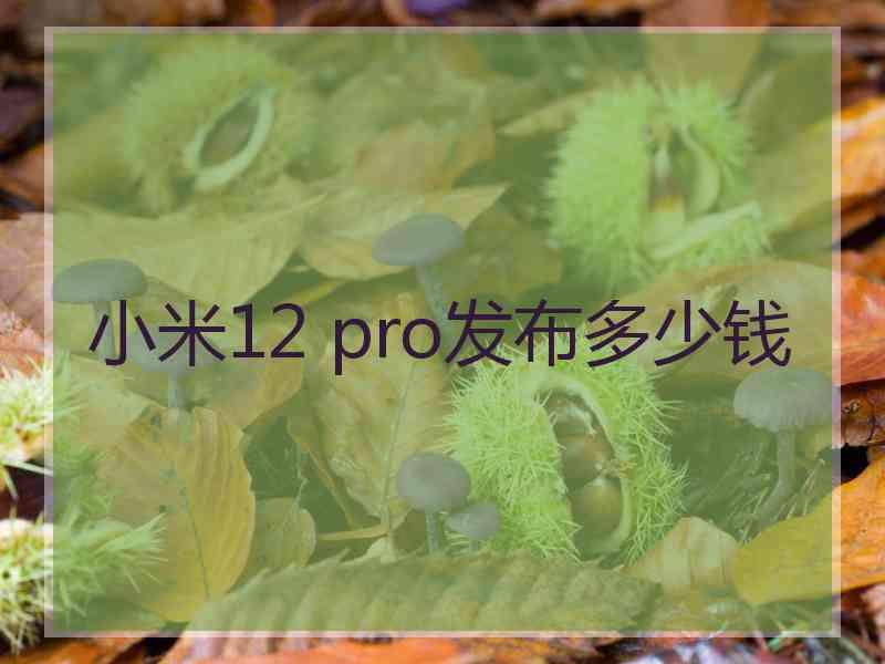 小米12 pro发布多少钱