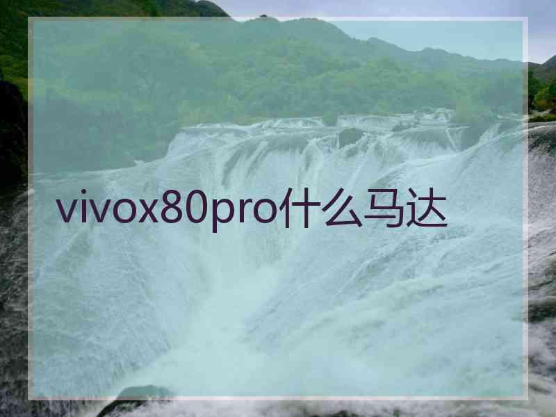 vivox80pro什么马达