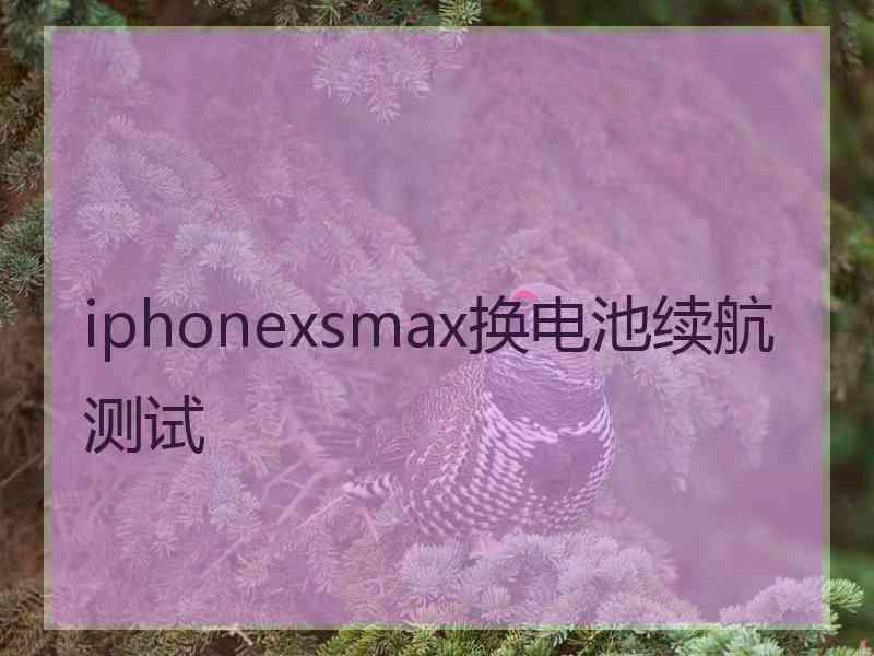 iphonexsmax换电池续航测试