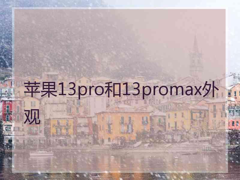 苹果13pro和13promax外观