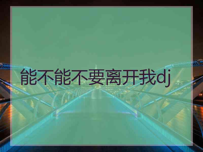 能不能不要离开我dj