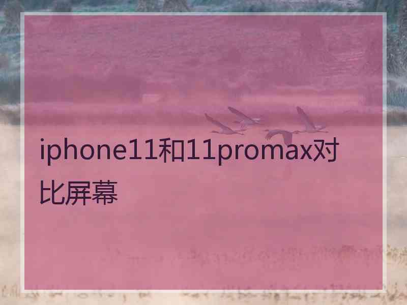 iphone11和11promax对比屏幕