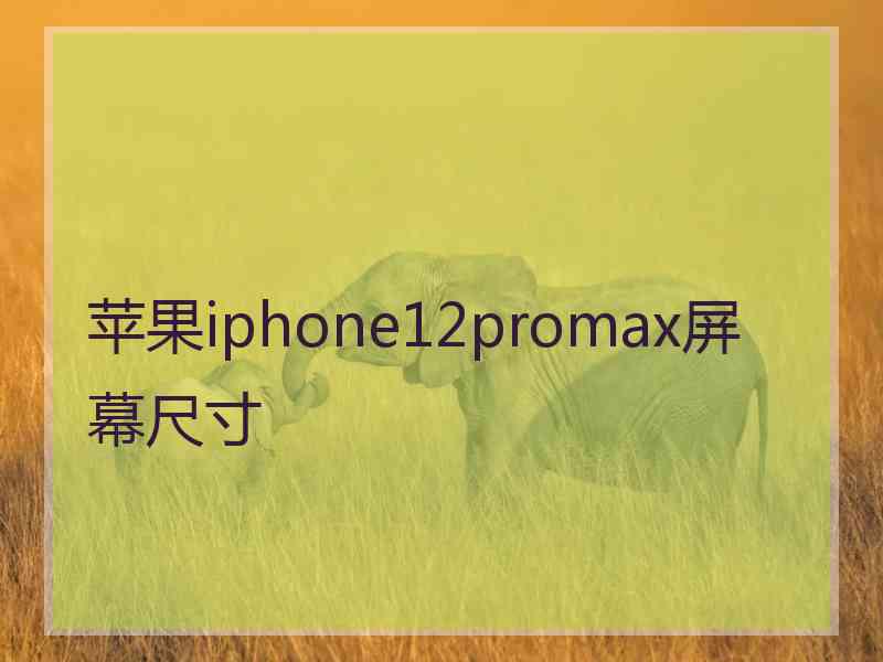 苹果iphone12promax屏幕尺寸