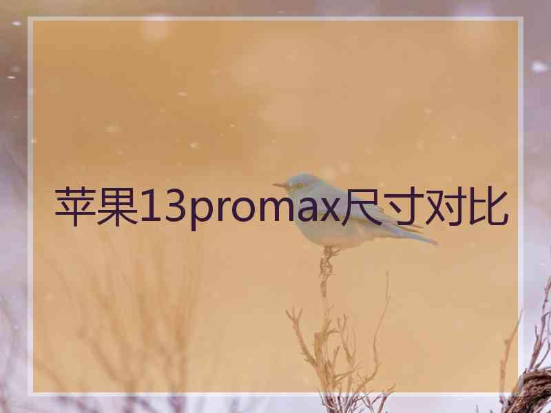 苹果13promax尺寸对比