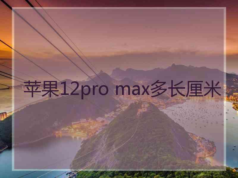 苹果12pro max多长厘米