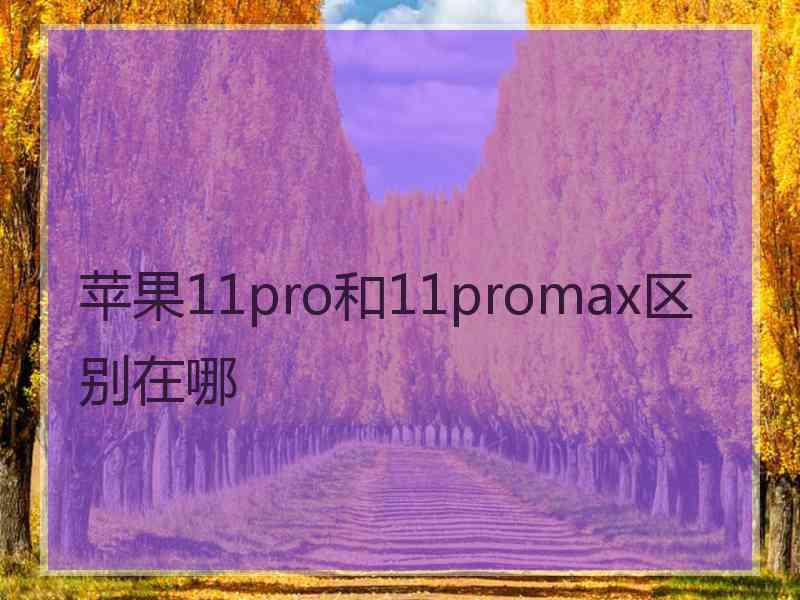 苹果11pro和11promax区别在哪