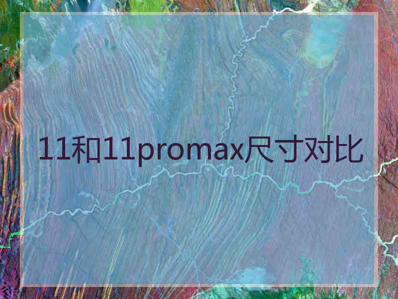 11和11promax尺寸对比