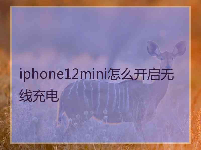 iphone12mini怎么开启无线充电