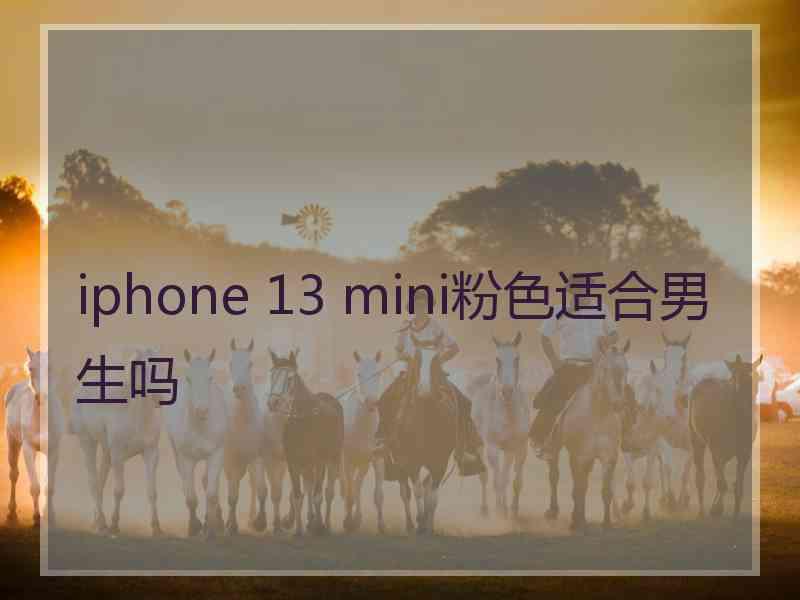 iphone 13 mini粉色适合男生吗