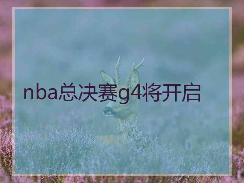 nba总决赛g4将开启