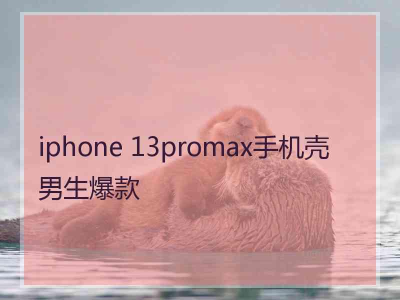 iphone 13promax手机壳男生爆款