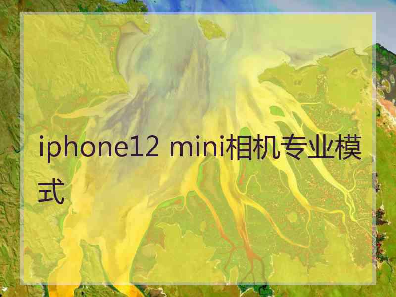 iphone12 mini相机专业模式