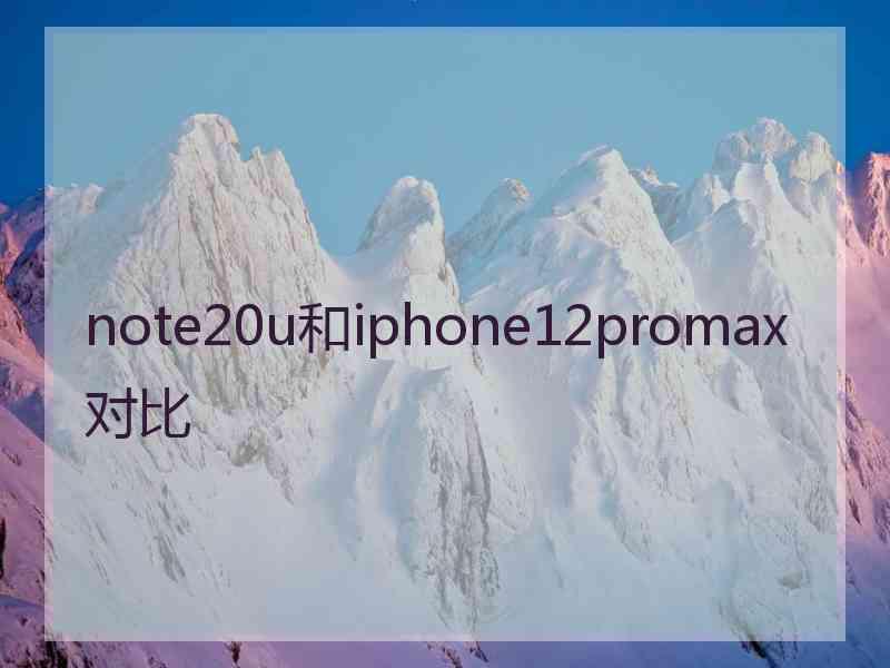 note20u和iphone12promax对比