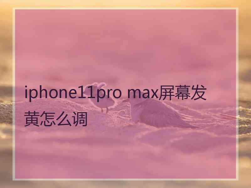 iphone11pro max屏幕发黄怎么调