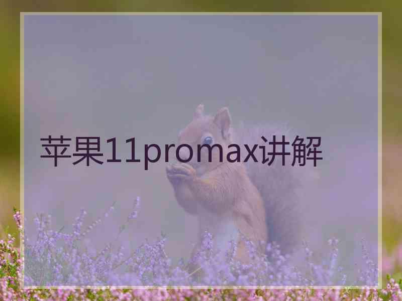 苹果11promax讲解