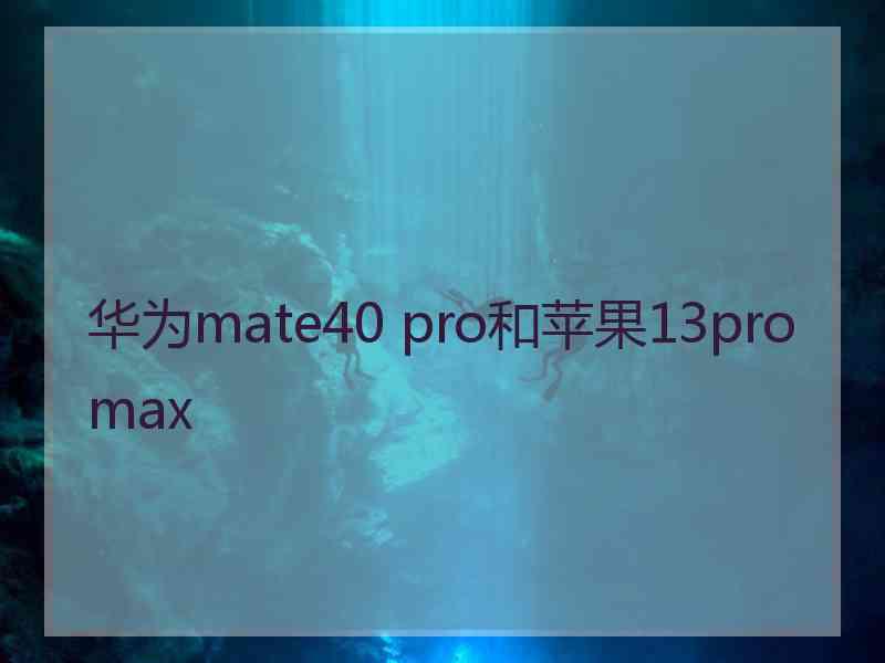 华为mate40 pro和苹果13pro max