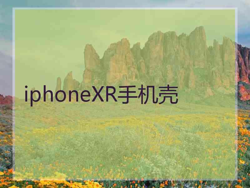 iphoneXR手机壳