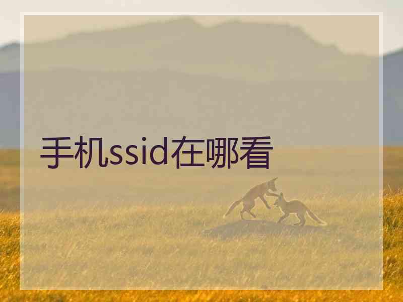 手机ssid在哪看