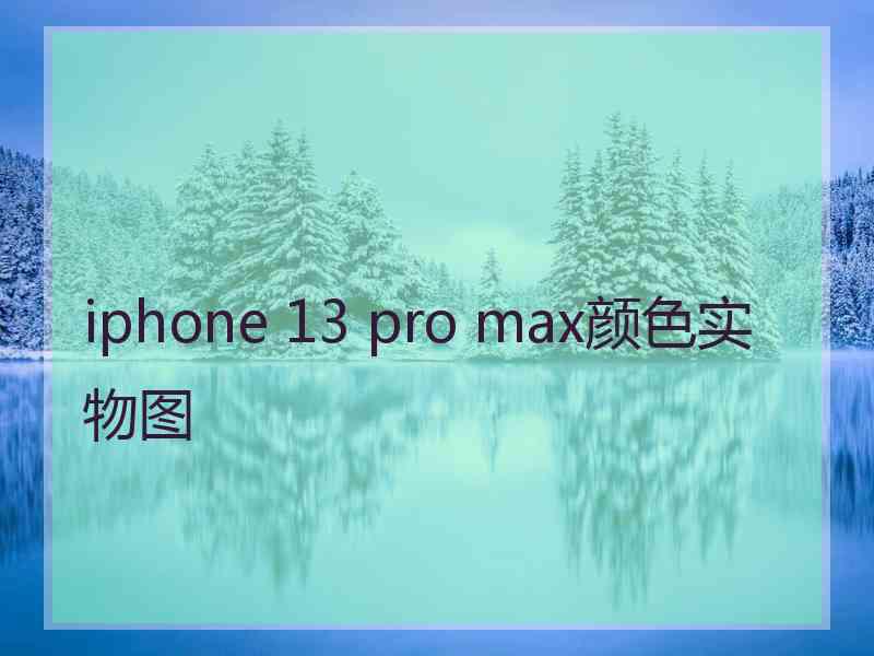 iphone 13 pro max颜色实物图