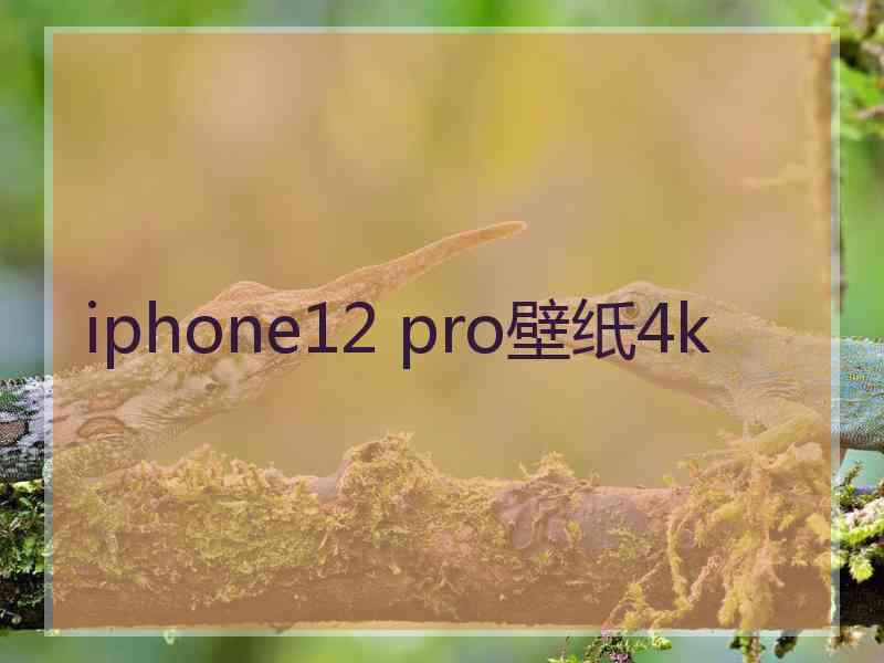 iphone12 pro壁纸4k