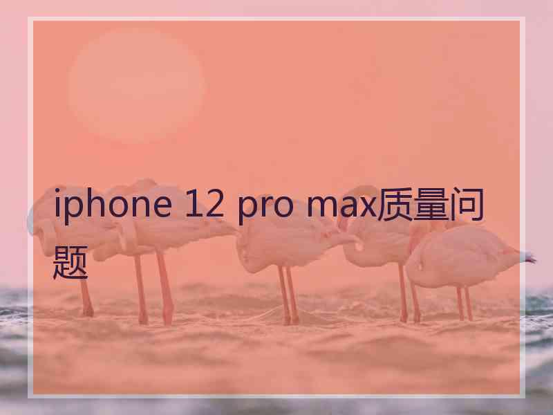 iphone 12 pro max质量问题