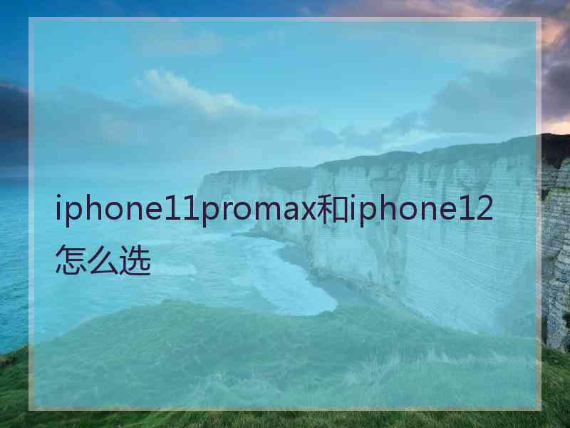 iphone11promax和iphone12怎么选