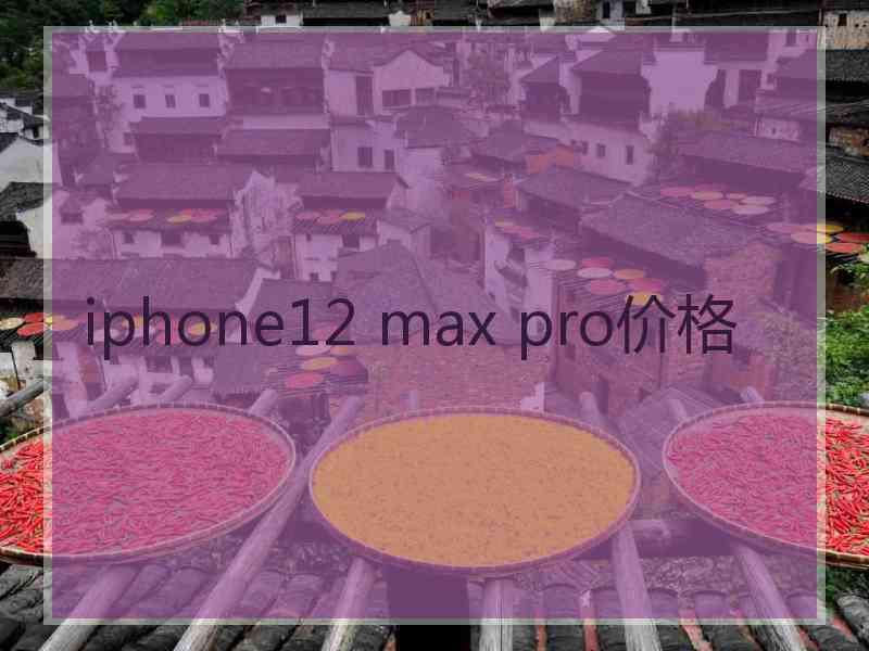 iphone12 max pro价格