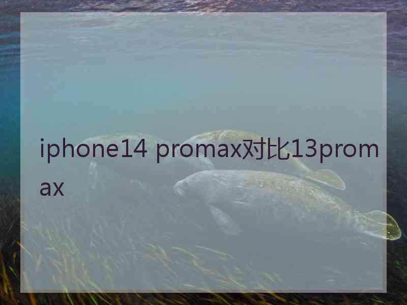 iphone14 promax对比13promax