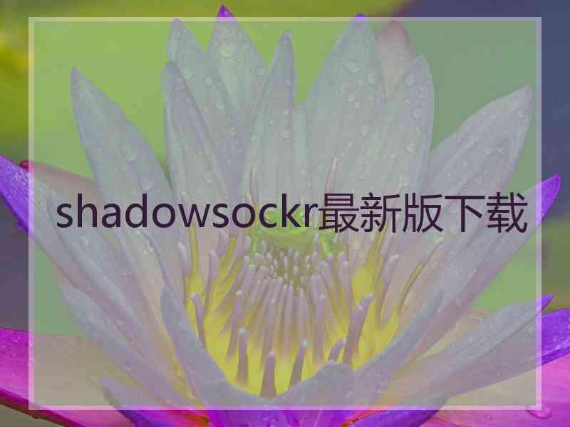 shadowsockr最新版下载