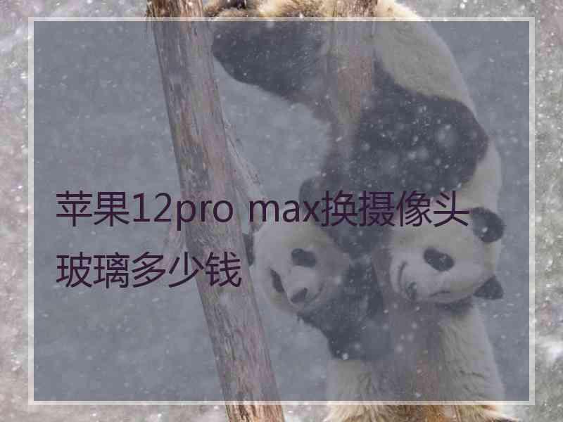 苹果12pro max换摄像头玻璃多少钱