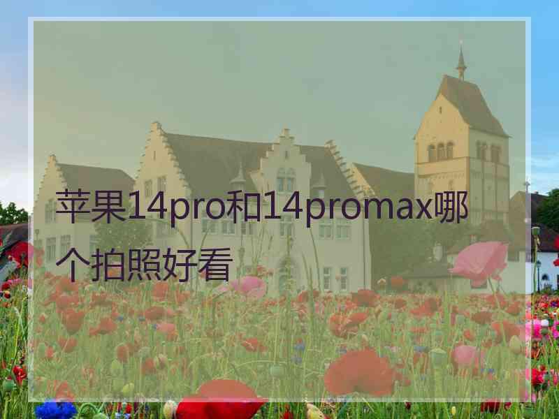 苹果14pro和14promax哪个拍照好看