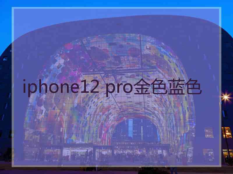 iphone12 pro金色蓝色