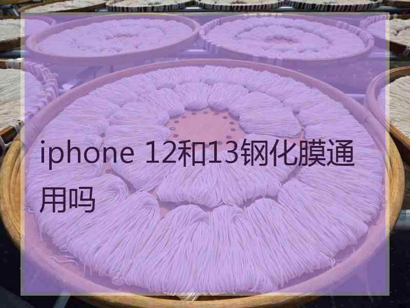 iphone 12和13钢化膜通用吗