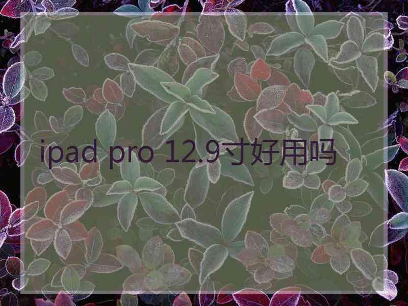 ipad pro 12.9寸好用吗