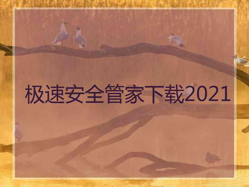 极速安全管家下载2021