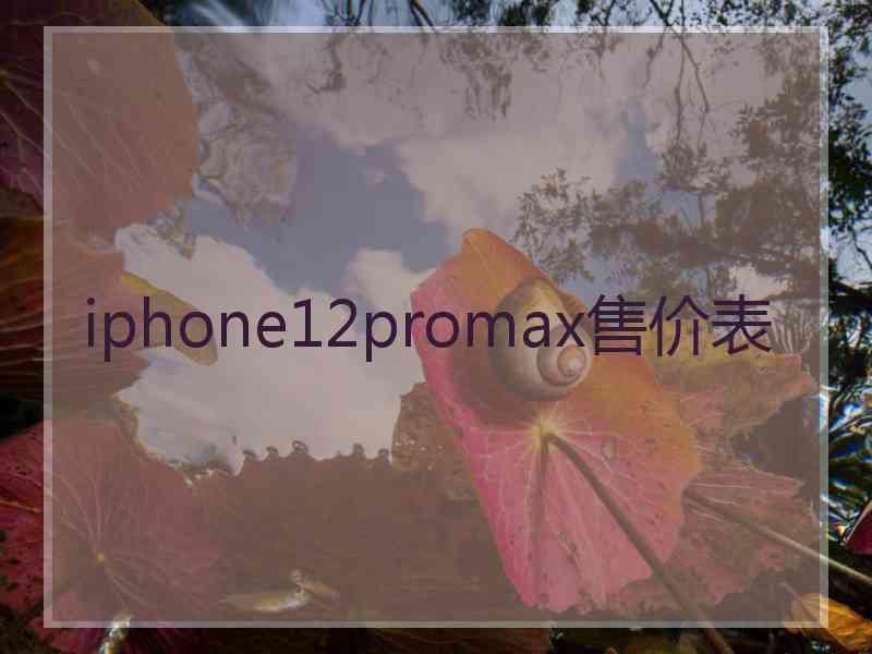 iphone12promax售价表