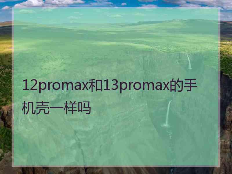 12promax和13promax的手机壳一样吗