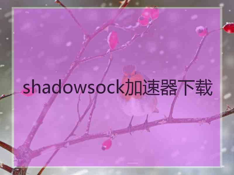 shadowsock加速器下载