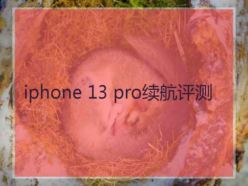 iphone 13 pro续航评测