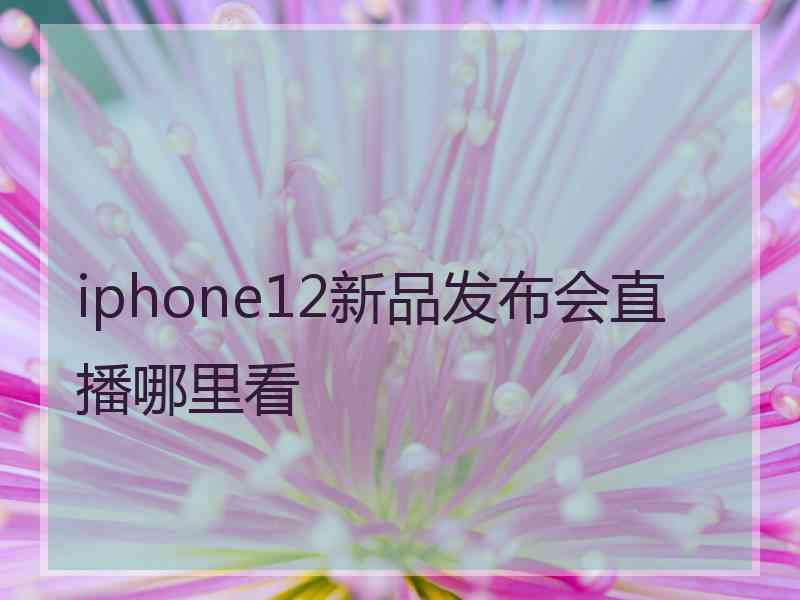 iphone12新品发布会直播哪里看