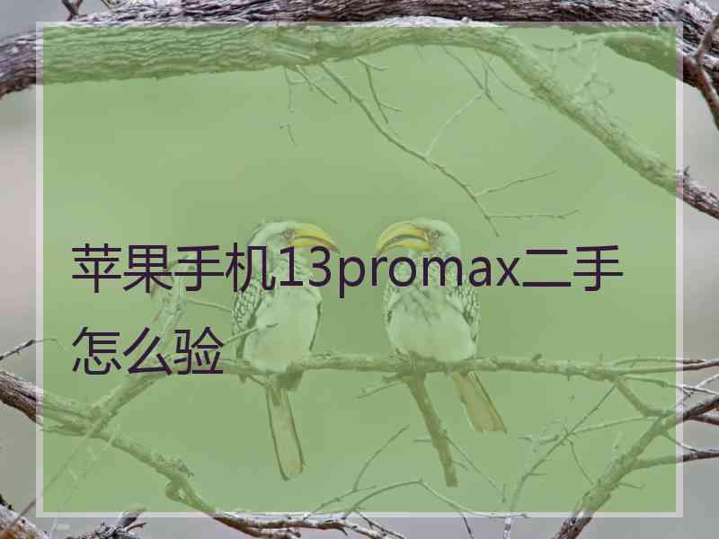 苹果手机13promax二手怎么验