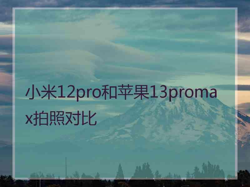 小米12pro和苹果13promax拍照对比