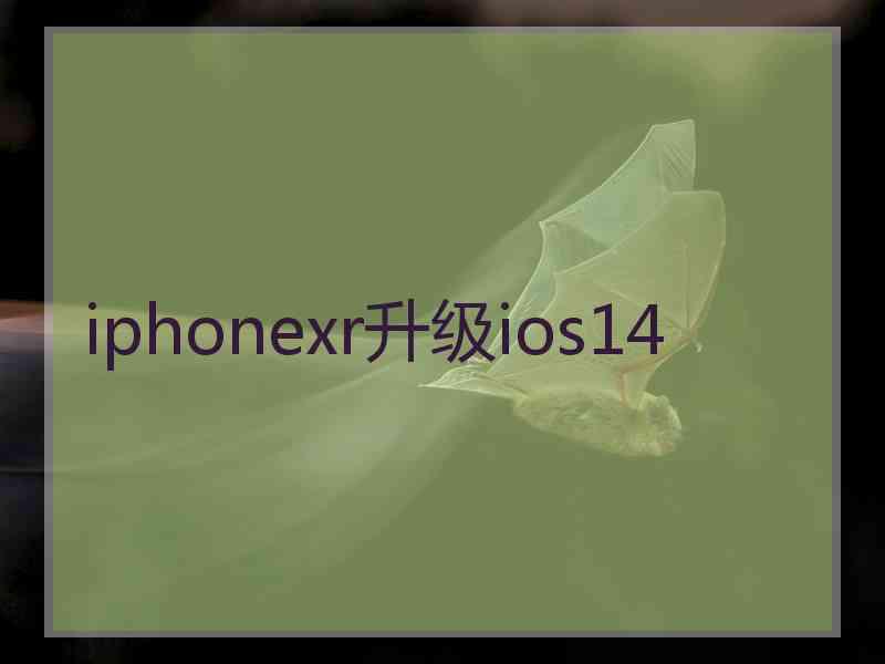 iphonexr升级ios14